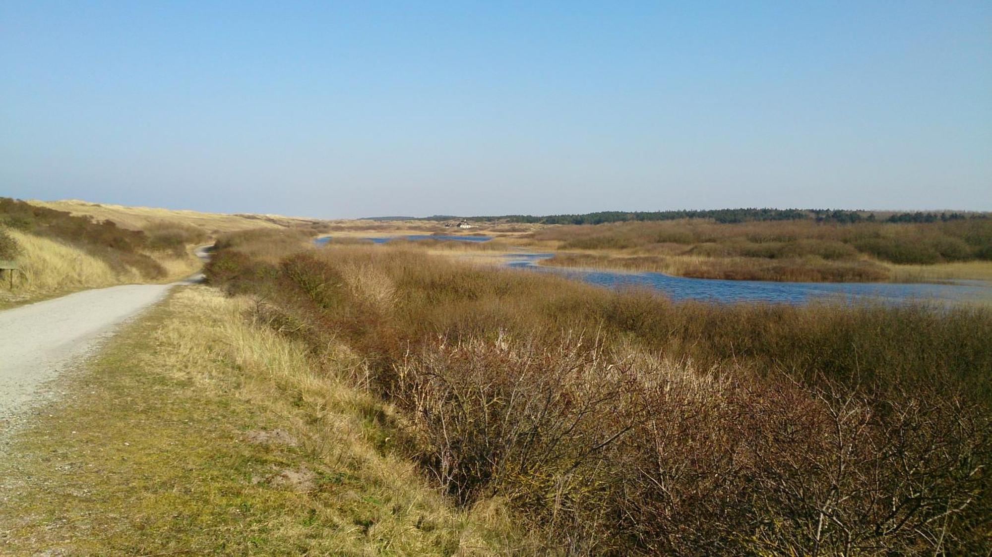 Ballumerhoeve T Pandje Esterno foto